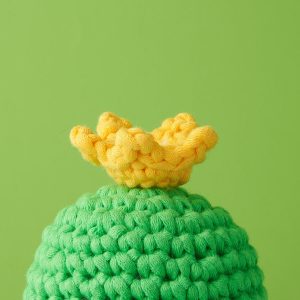 Tiny Crown Crochet Kit for Beginners | The Woobles